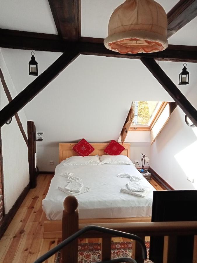 Sînpetru Residence Goelsch 161 מראה חיצוני תמונה