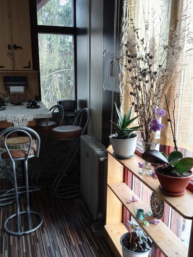 Sînpetru Residence Goelsch 161 מראה חיצוני תמונה